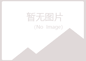 铜川迎夏能源有限公司